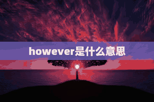 however是什么意思(however是什么意思中文)